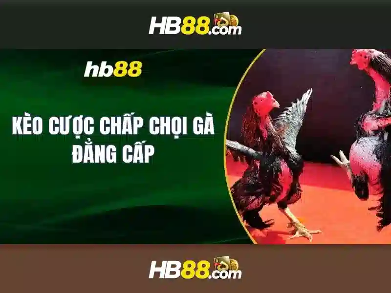 Đa Dạng Thể Loại Slot