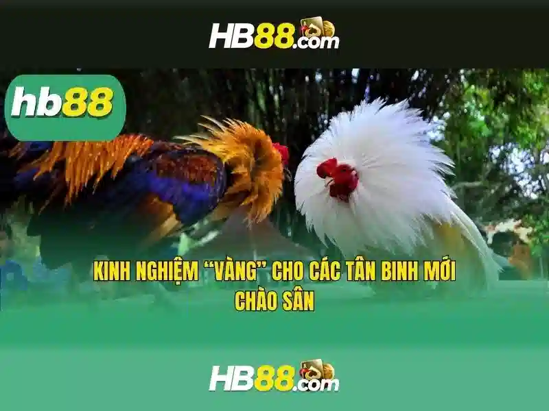 Hướng Dẫn Đăng Ký hb88 Casino Login