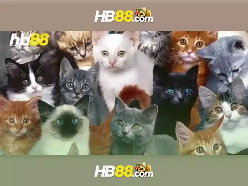 HB88 - Ứng Dụng hb88 Com App Trực Tuyến Đa Dạng Cho Người Chơi Slot