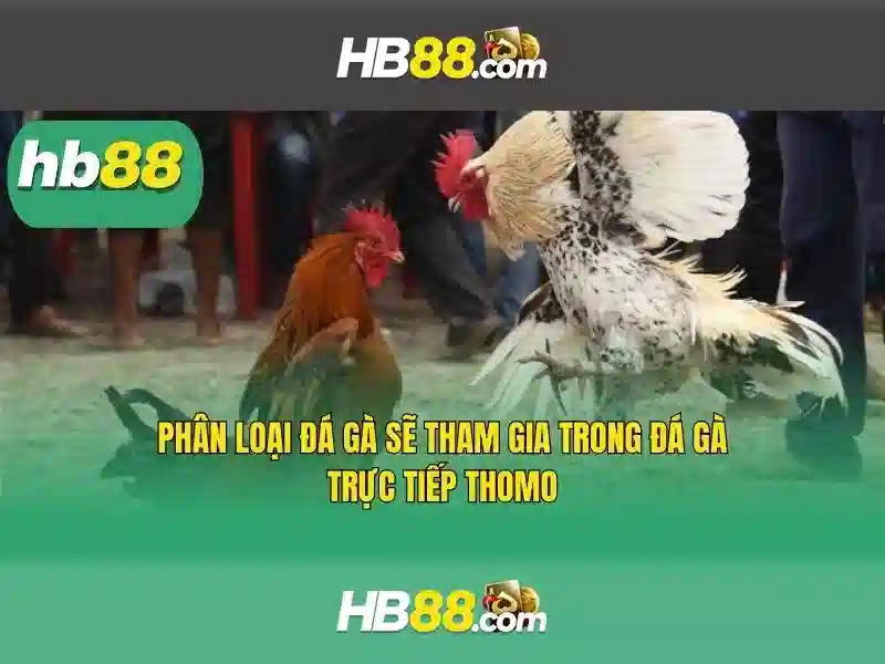 Trải nghiệm slot HB88