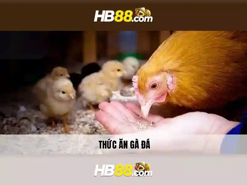 Cách Truy Cập HB88 Nhanh Chóng