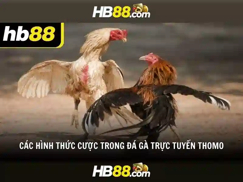 Tải App HB88