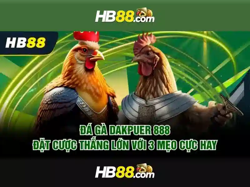 HB88 – Trải Nghiệm Slot Đỉnh Cao