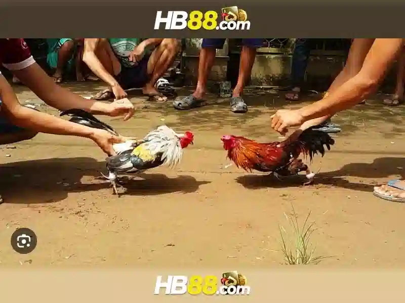 Đặc điểm nổi bật