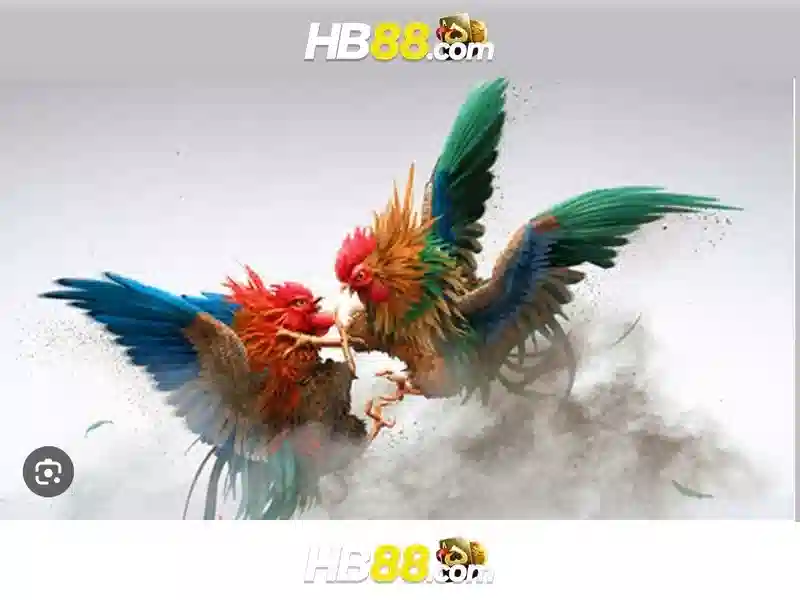 hb88 Casino – Chương Trình Khuyến Mãi