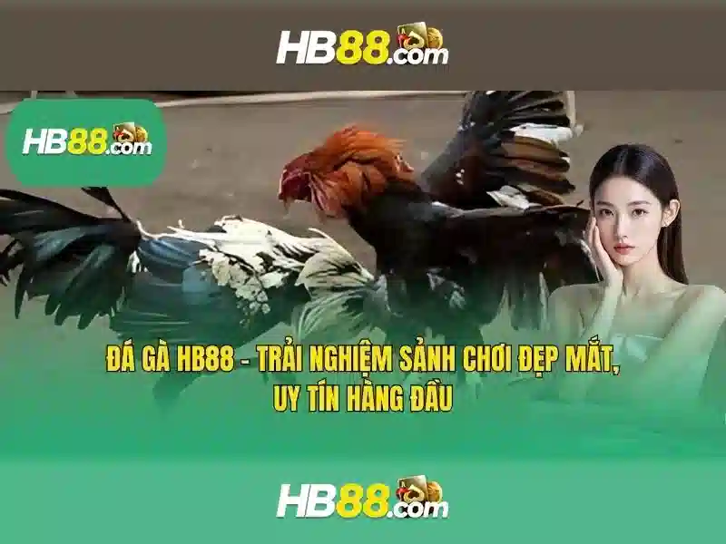 hướng dẫn chơi HB88
