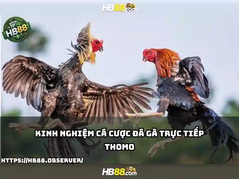 Giao diện ứng dụng di động HB88