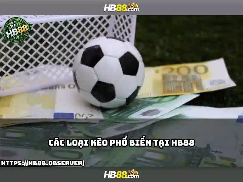 HB88 đá gà
