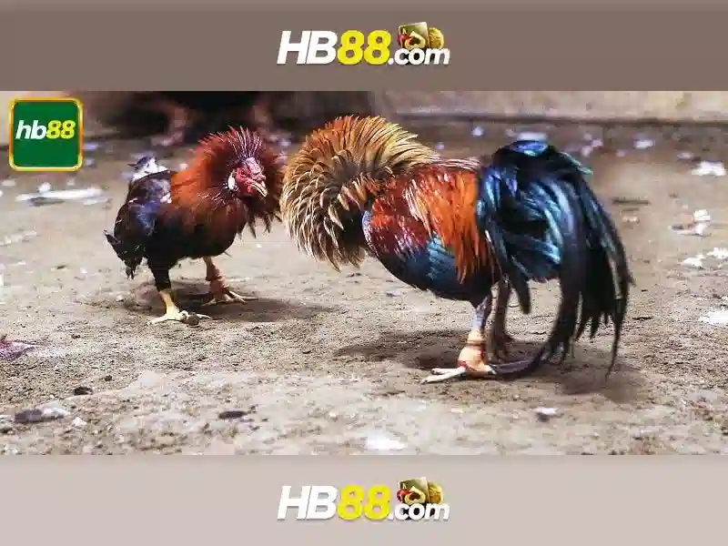 Khuyến Mại HB88