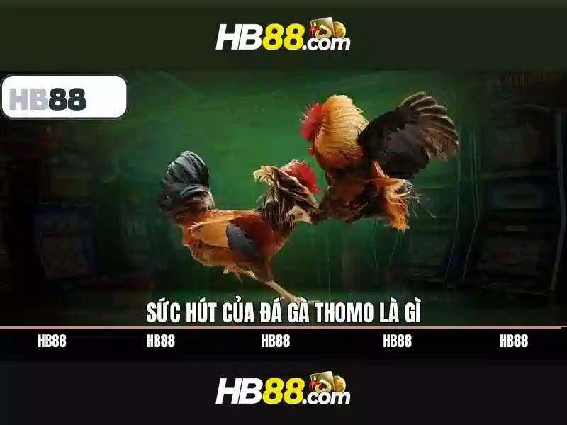 Tải ứng dụng HB88