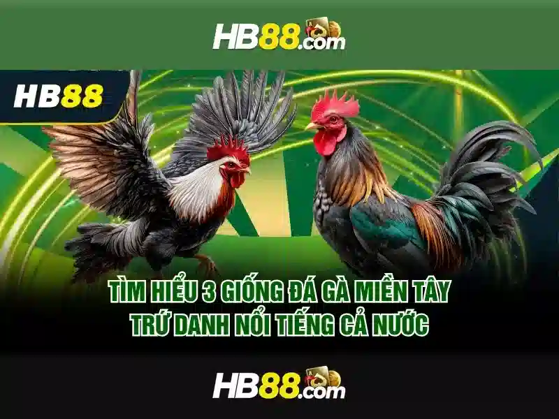 SLOT tại HB88
