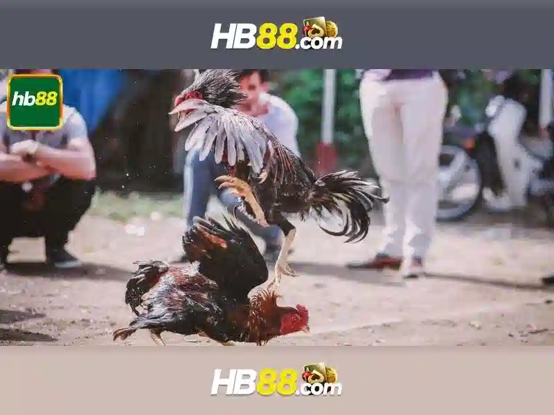 HB88 Uy Tín Số 1
