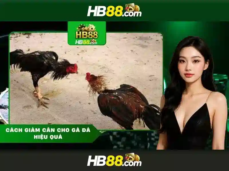 Link Tại HB88