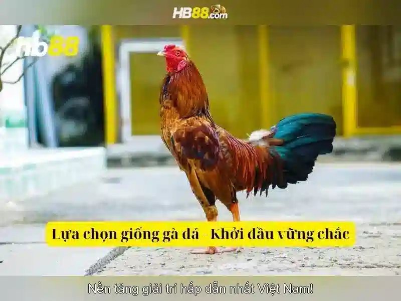 Tài chính HB88