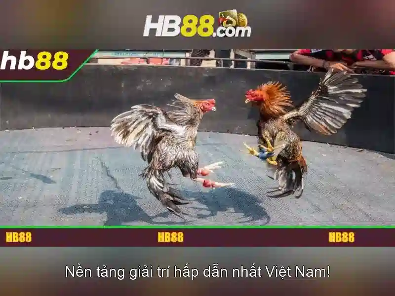 Hướng Dẫn Tải HB88 Cho Người Mới