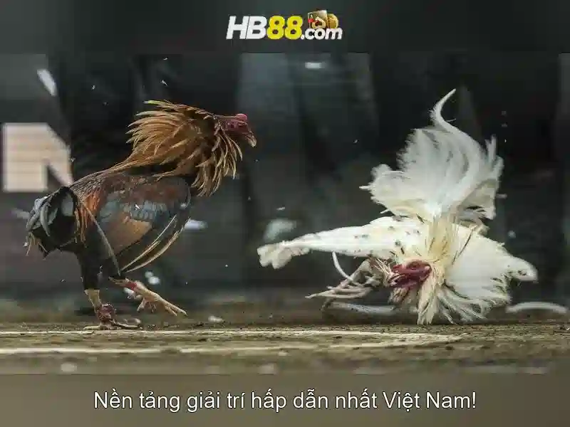 Trải Nghiệm Slot HB88