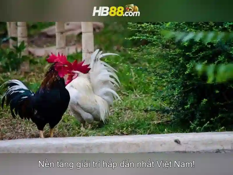 trải nghiệm slot hb88