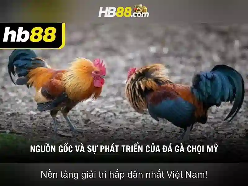 khuyến mãi HB88