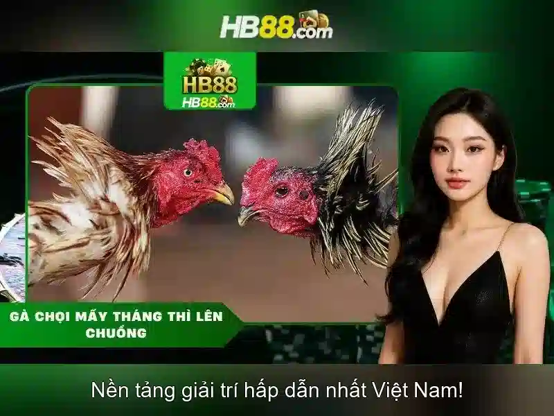 an toàn mạng HB88