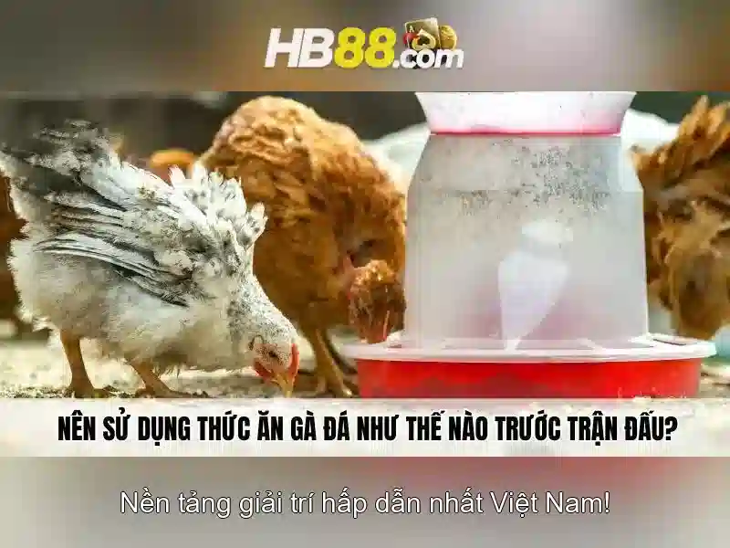 Đa Dạng Game Slot Tại HB88