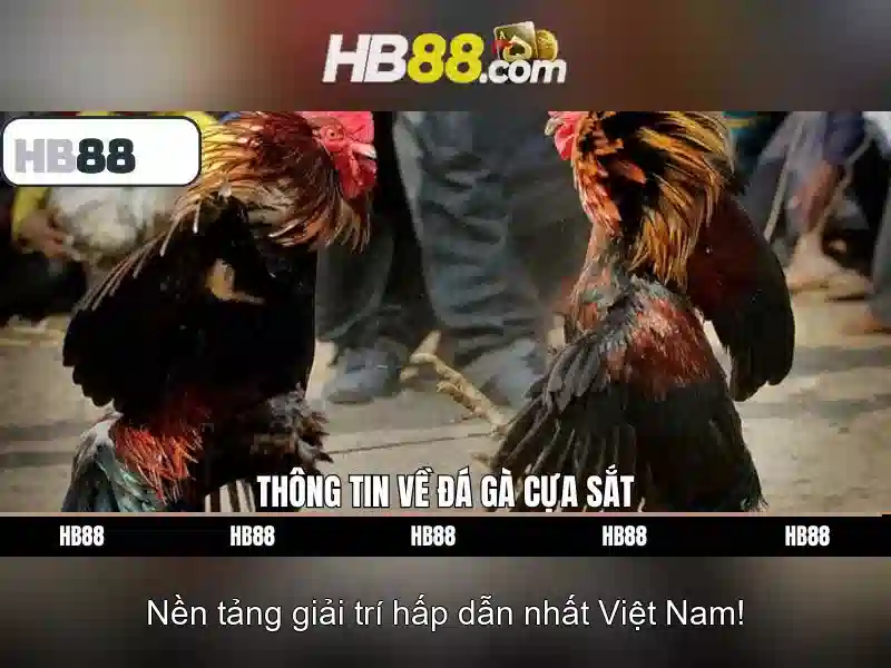 HB88 – Link Vào Trang Chủ HB88 Chính Thức Không Bị Chặn 2026