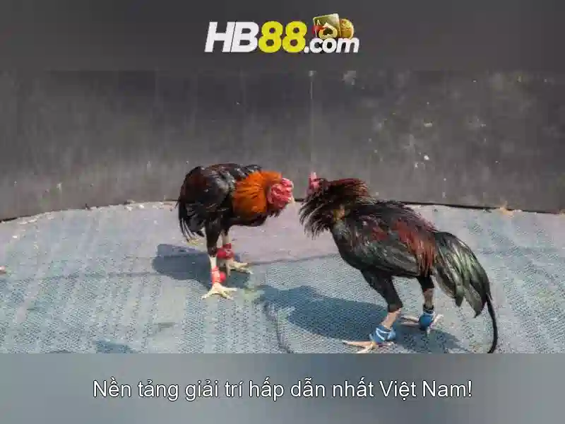 Đa dạng thể loại slot