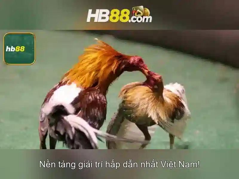 Khuyến Mãi Slot Độc Quyền Tại HB88