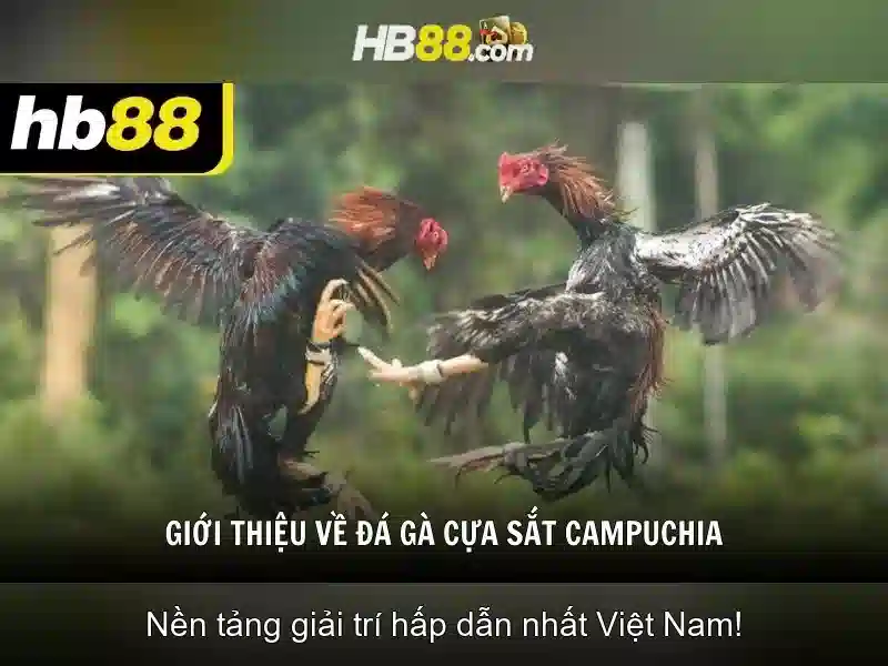 Giao diện ứng dụng HB88