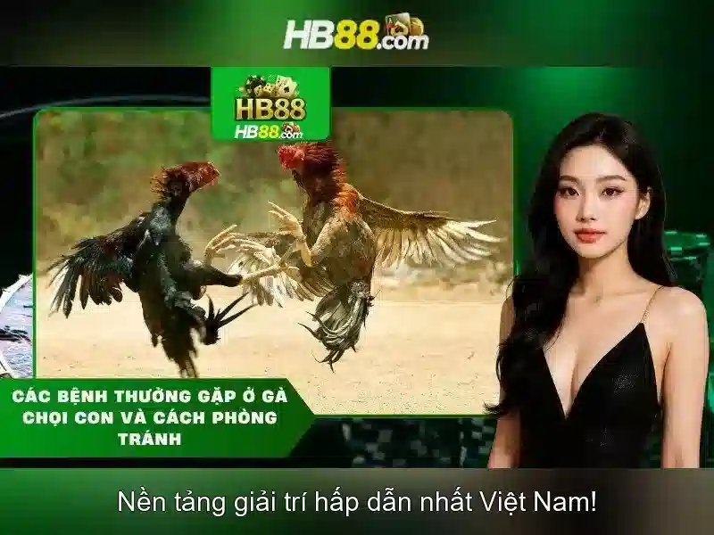Chương trình khuyến mãi HB88