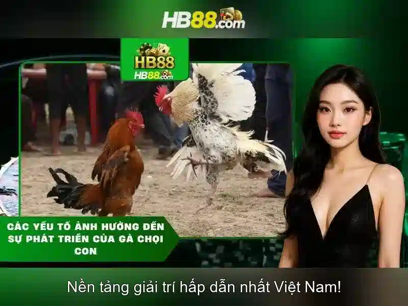 Bảo Mật HB88