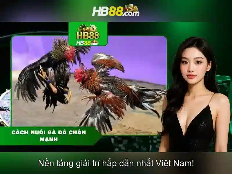 HB88 Uy Tín Số 1 – Trải Nghiệm Slot Đỉnh Cao