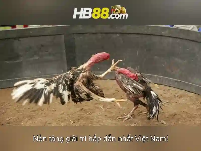 HB88 Slot