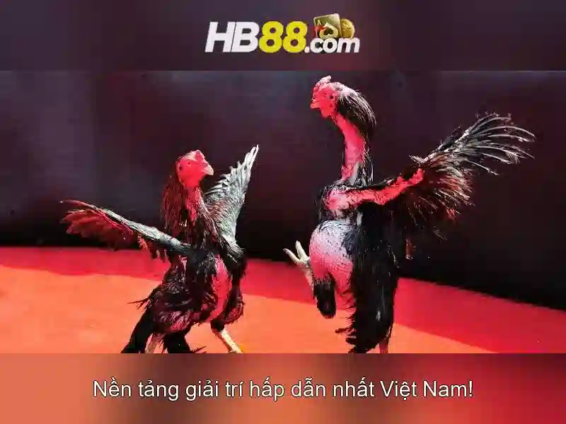 HB88 Casino